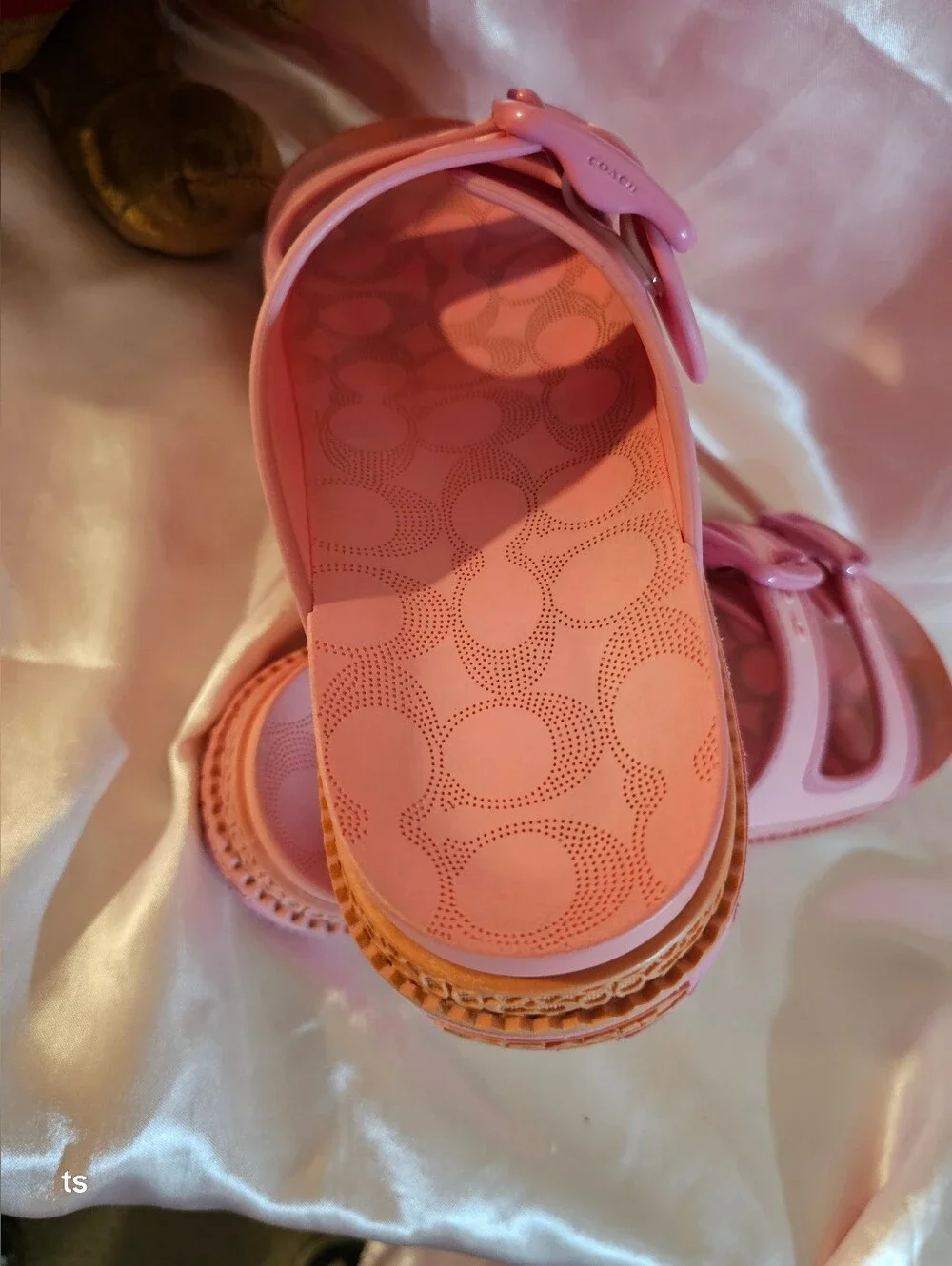 Coach Lainey Pink Double-Buckle Platform Slide Sandals